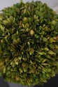 F74734: Pair Of WILDWOOD ACCENTS Topiary Urns
