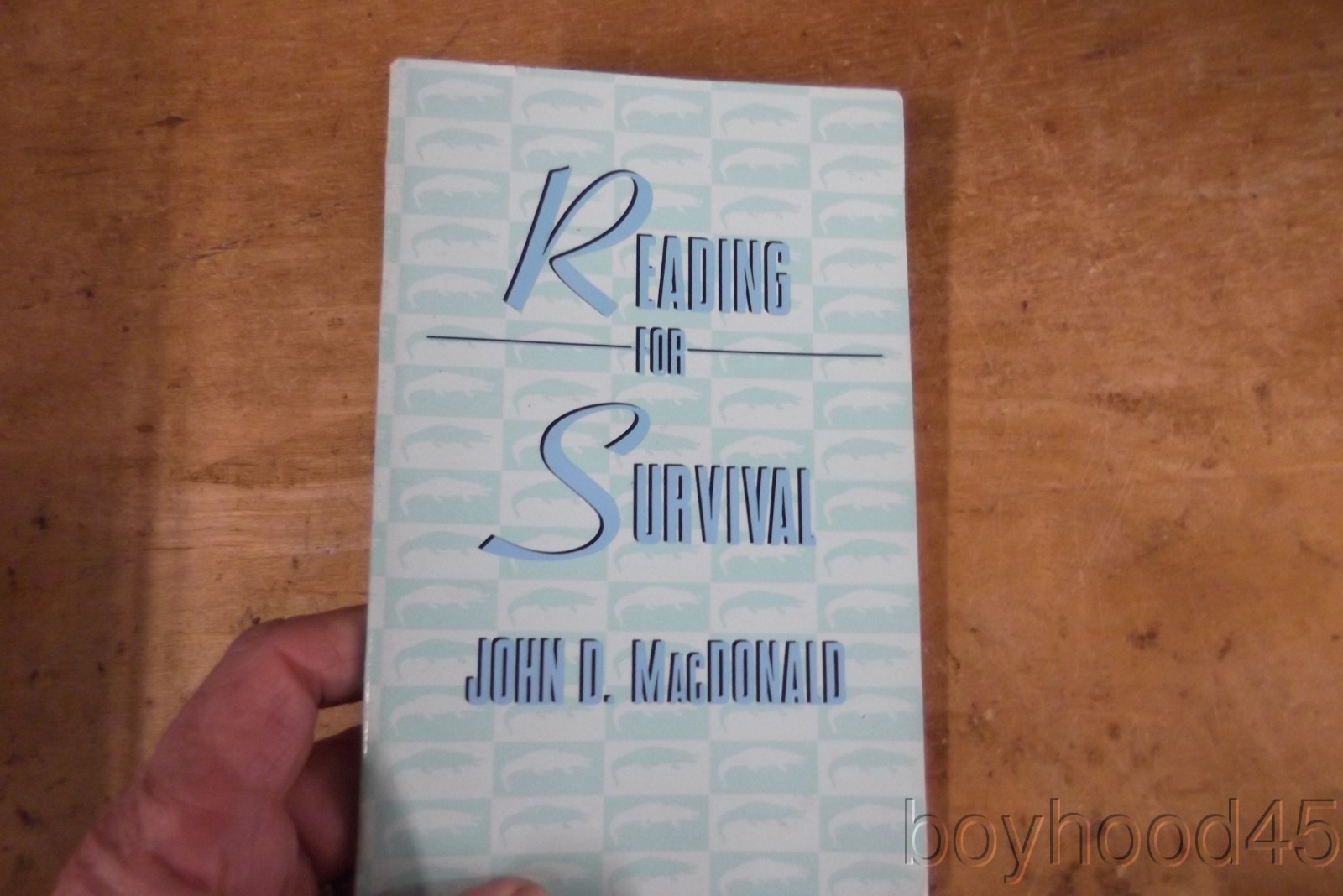 Great barrier island picture