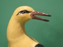 Meissen Figurine Golden Oriole Bird 820 Kaendler P