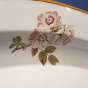 Wedgwood for John Mortlock London Platter Insects 