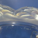 Lalique Laure Coupe Platter Tray Small Bowl