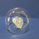 Lalique Charis Dove Pin Tray