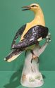 Meissen Figurine Golden Oriole Bird 820 Kaendler P