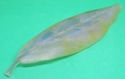 Daum France PATE DE VERRE  Leaf Dish Pale Pink w B