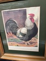 Vintage Framed Rooster Print Champion Dorking by L