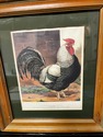 Vintage Framed Rooster Print Champion Dorking by L