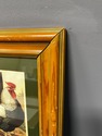 Vintage Framed Rooster Print Champion Dorking by L