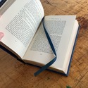 Pere Goriot 1/4 Leather Bound Book Blue Gold Embos