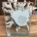 Real Sea Coral Glass Bookends Modern Vintage Desig