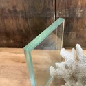 Real Sea Coral Glass Bookends Modern Vintage Desig