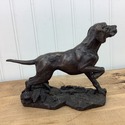 Pointer Dog Heredities Ltd Kirkby Stephen Westmorl