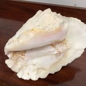 Large Conch Sea Shell Real Shell 11" Length by 7.5