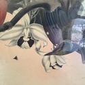 Elliot's Illustrations Bird 1863 Pitta Erythr o Ga