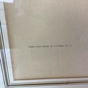 Elliot's Illustrations Bird 1863 Pitta Erythr o Ga