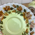 Royal Albert Teacup and Saucer Set Lakeside Series