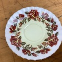 Royal Albert Teacup and Saucer Lakeside Series Thi