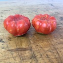 Vintage Royal Bayreuth Tomato Salt Pepper Shakers 