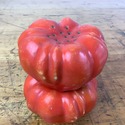 Vintage Royal Bayreuth Tomato Salt Pepper Shakers 