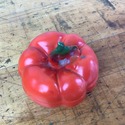 Royal Bayreuth Tomato Shape Trinket Box Heirloom w