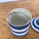 English Cornish Ware TG Green & Company Blue & Whi