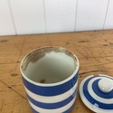 English Cornish Ware TG Green & Company Blue & Whi
