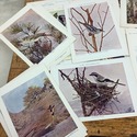 Birds Illustrated by Color Photography 52 single P