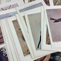 Birds Illustrated by Color Photography 52 single P