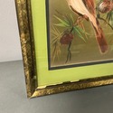 Vintage Red Cardinals Bird Painting Gold Foil Fram