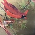 Vintage Red Cardinals Bird Painting Gold Foil Fram