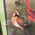 Vintage Red Cardinals Bird Painting Gold Foil Fram