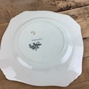 Royal Winton Summertime Square Plate 7" Salad Lunc