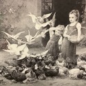 French Country Antique Print Poultry Yard Roosters