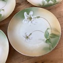 8 RS Prussia Plates 6 1/8" White Lilies Green Stem