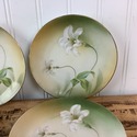8 RS Prussia Plates 6 1/8" White Lilies Green Stem