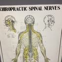 Vintage Chiropractic Spinal Nerves Wall Thick Post