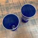 Pair Cobalt Blue Enameled Vases Exotic Bird Parake