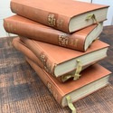 Antique Book Set 5 Volumes Goethes Werke Early 190