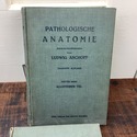 Antique German Medical Textbooks Pathological Anat