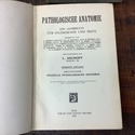 Antique German Medical Textbooks Pathological Anat