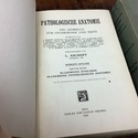 Antique German Medical Textbooks Pathological Anat