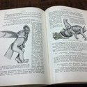 1935 German Medical Book Obstetrics Textbook by St