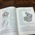 1935 German Medical Book Obstetrics Textbook by St