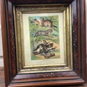 Antique Chromolithograph Carnivor Plate XI Chinese