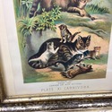 Antique Chromolithograph Carnivor Plate XI Chinese
