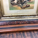 Antique Chromolithograph Carnivor Plate XI Chinese