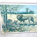 Lions in Serengeti Print by Charles Baskerville #'