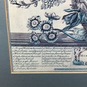 Twelve Months of Flowers March Vintage Print Botan