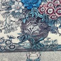 Twelve Months of Flowers March Vintage Print Botan