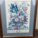 Twelve Months of Flowers June English Botanical Pr