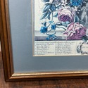Twelve Months of Flowers June English Botanical Pr